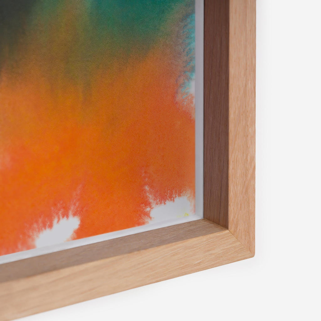 Frog – Edition Rop van Mierlo