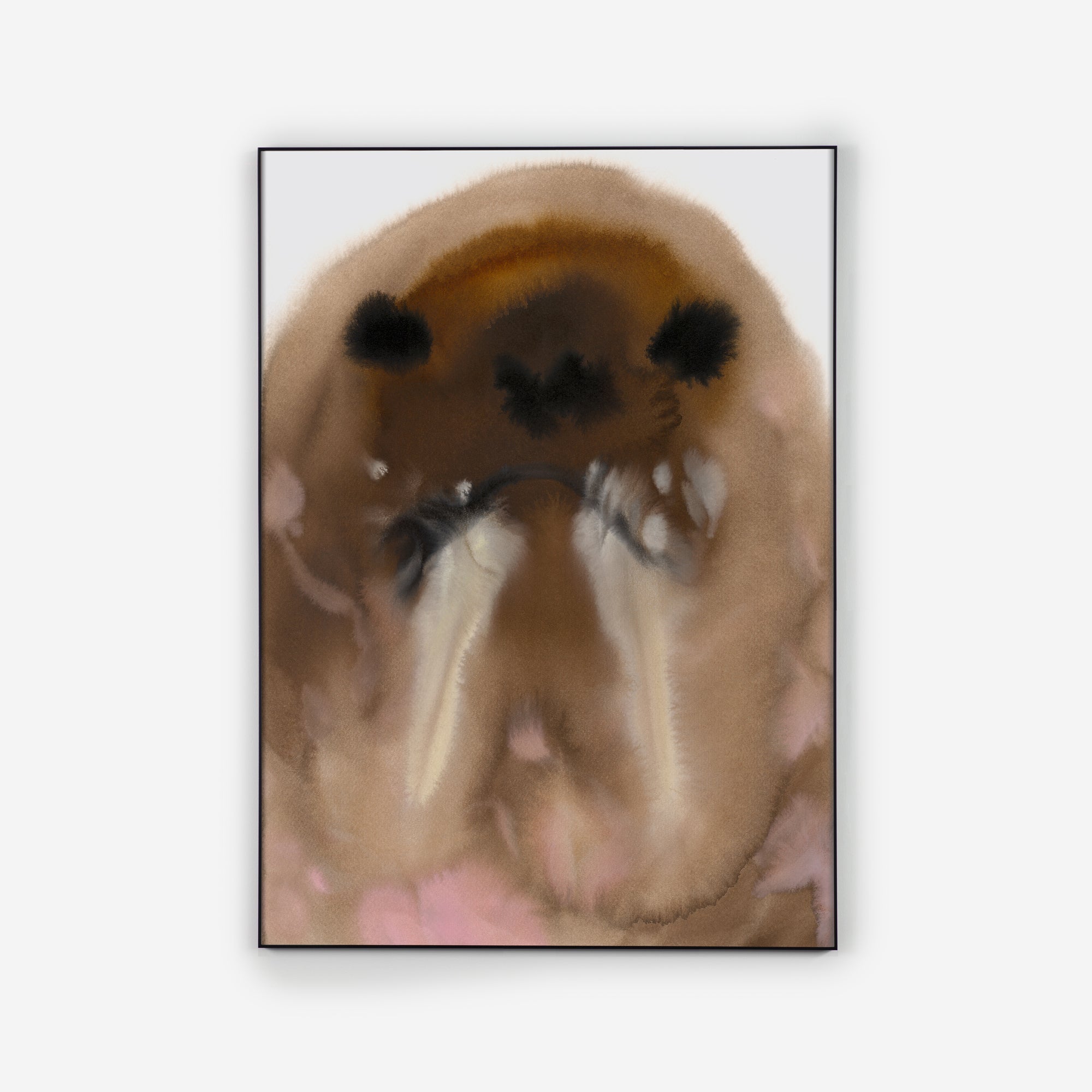 Walrus – Edition