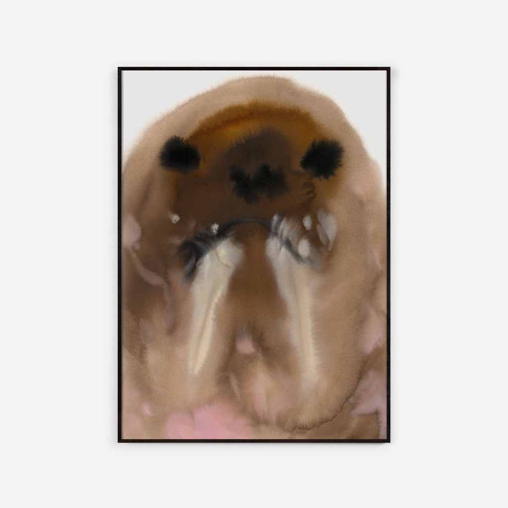 Walrus – Edition