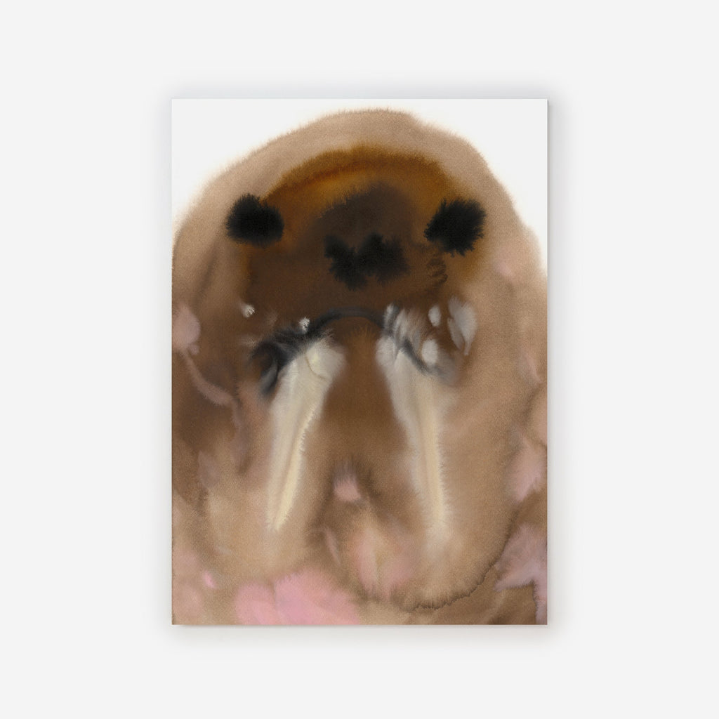 Walrus – Edition Rop van Mierlo