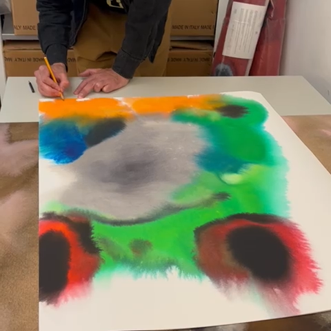 Frog – Edition Rop van Mierlo