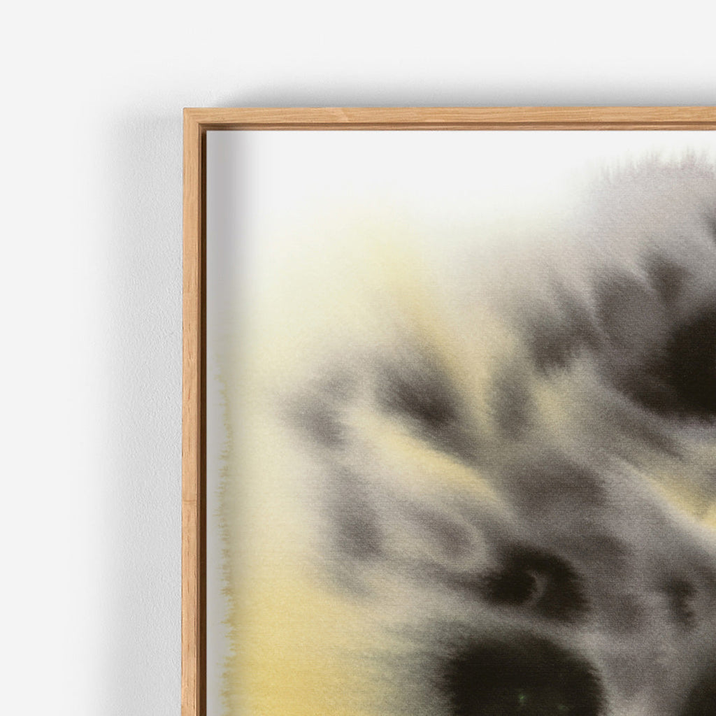 Snow Leopard Rop van Mierlo