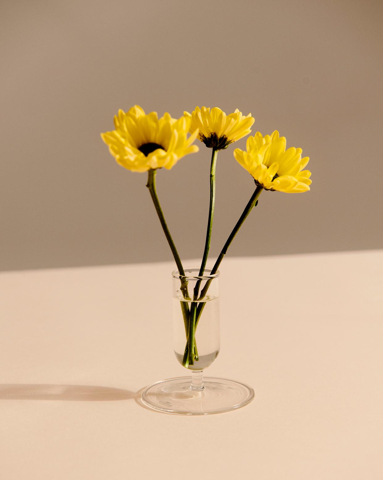 Tiny Vase HAY