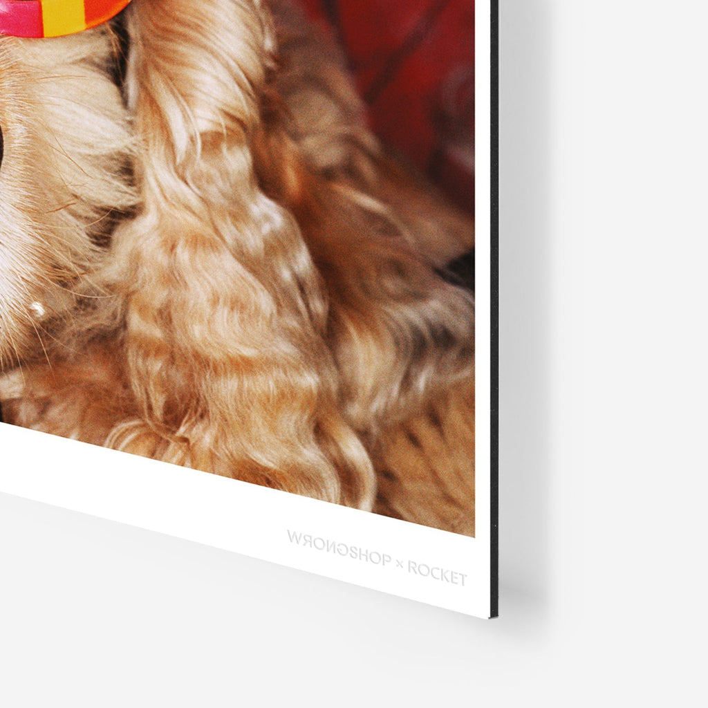 Venice Beach Martin Parr