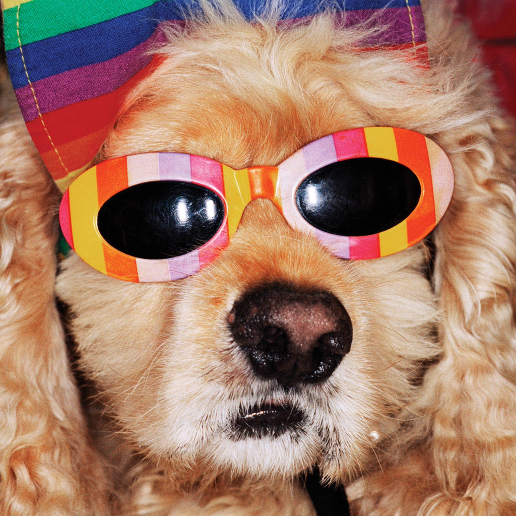 Venice Beach Martin Parr