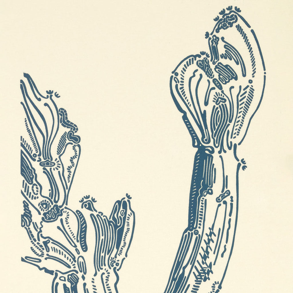 Crestata Loop – Edition Bethan Laura Wood