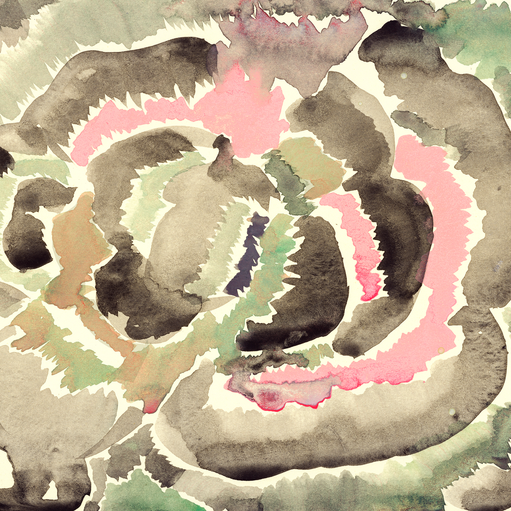 Lichen Borealis 1 – Edition Leanne Shapton