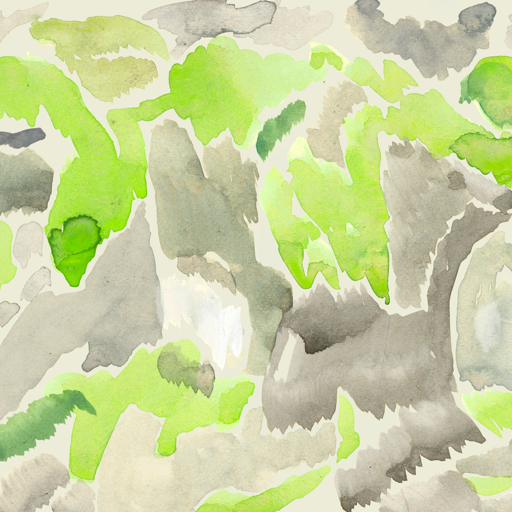 Lichen Borealis 3 – Edition Leanne Shapton