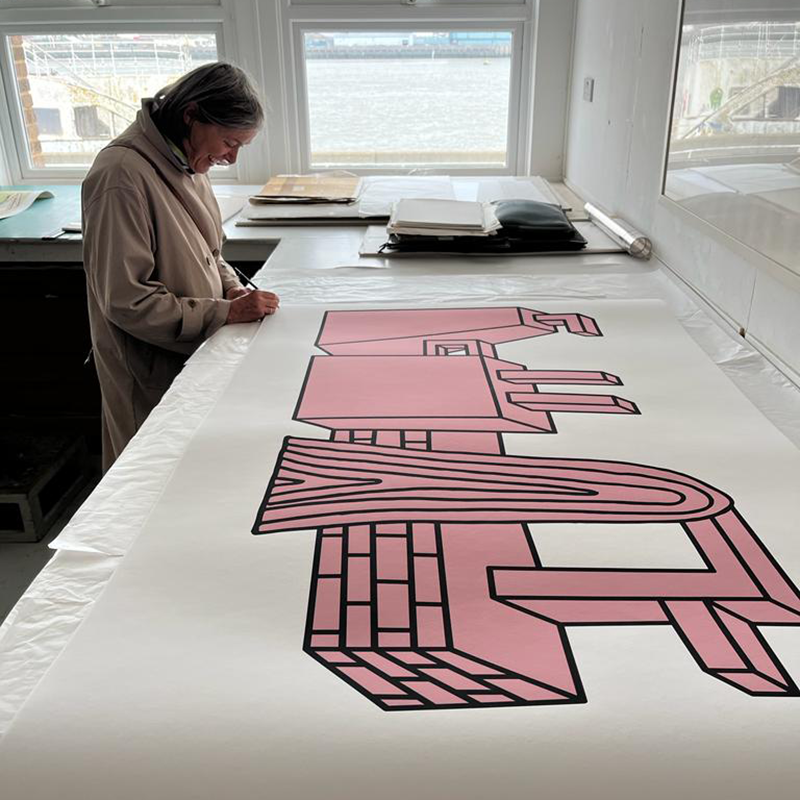 Pig Landscape – Edition Nathalie Du Pasquier