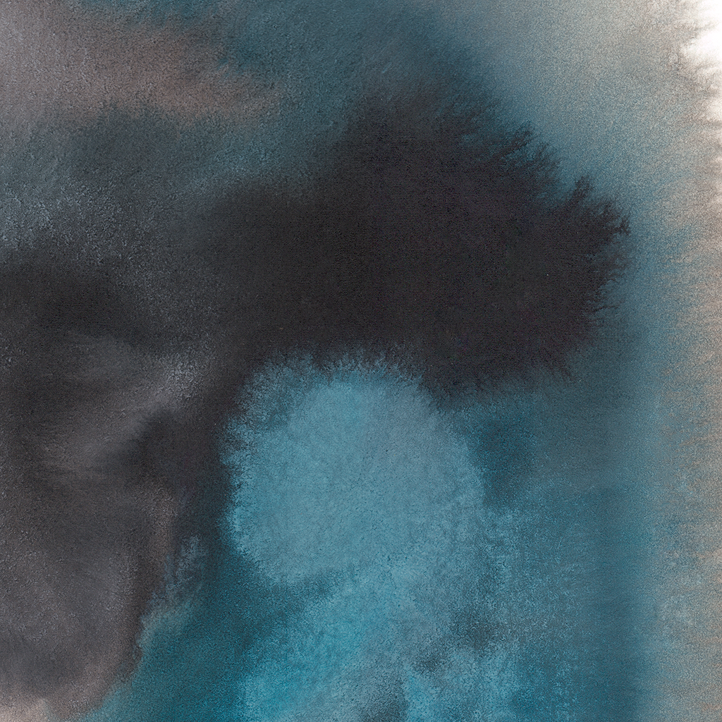 Dolphin – Edition Rop van Mierlo