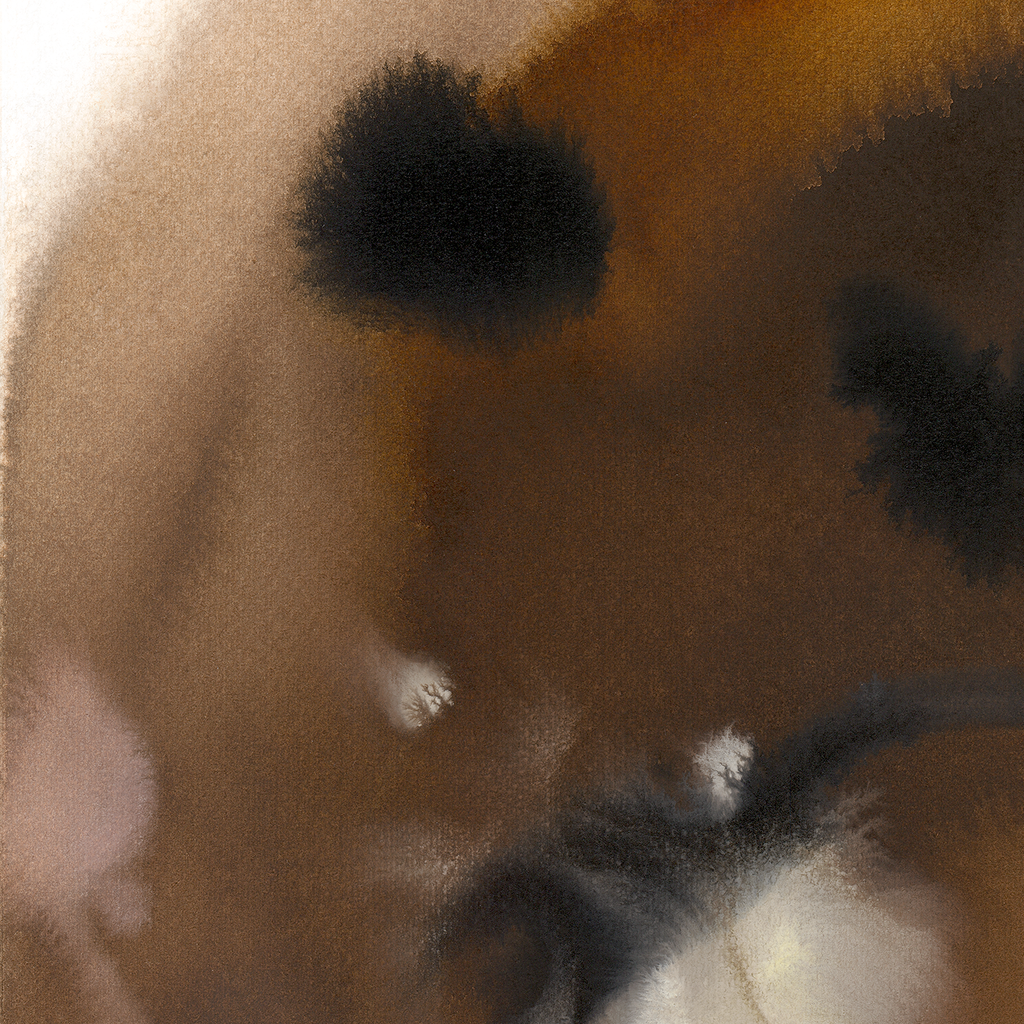 Walrus – Edition Rop van Mierlo