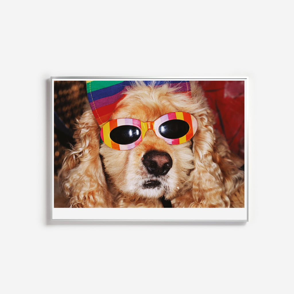 Poster + Silver Aluminium Frame