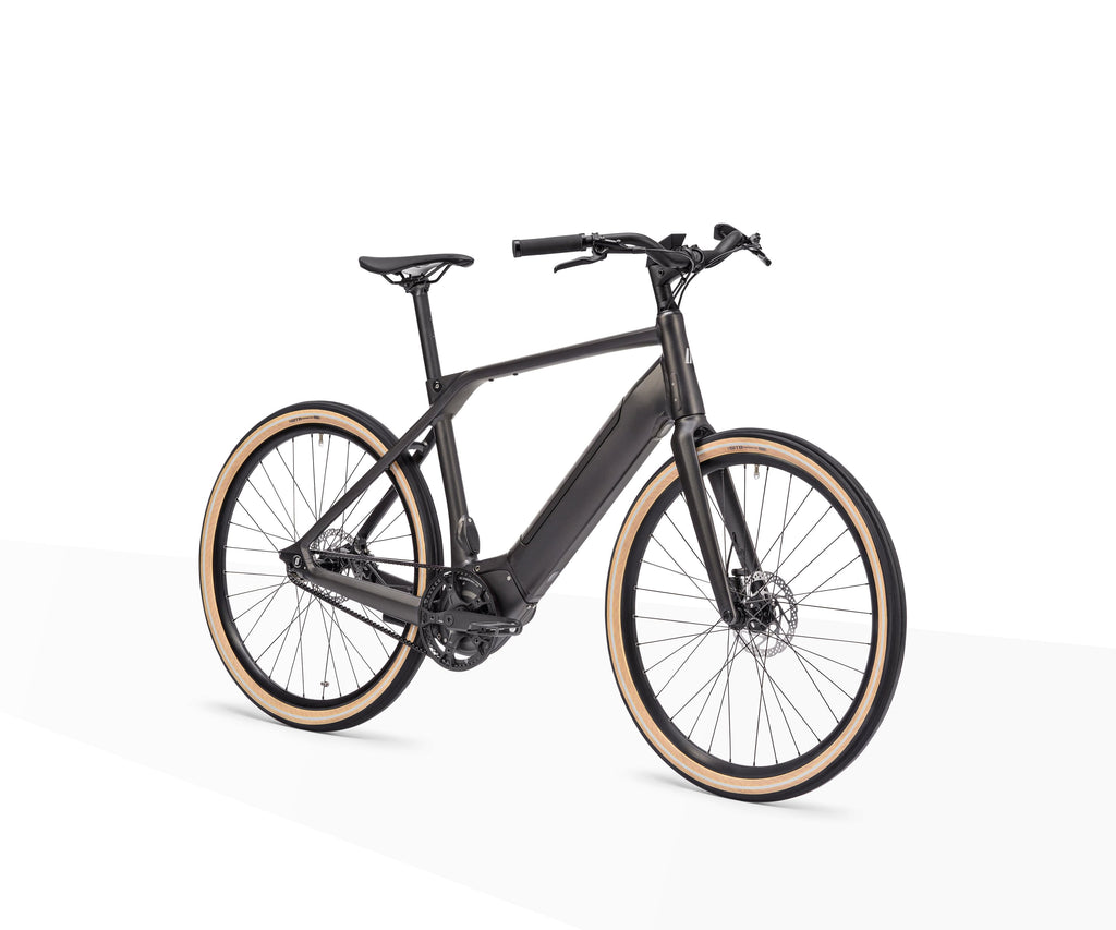 Heinrich 1.0 Schindelhauer