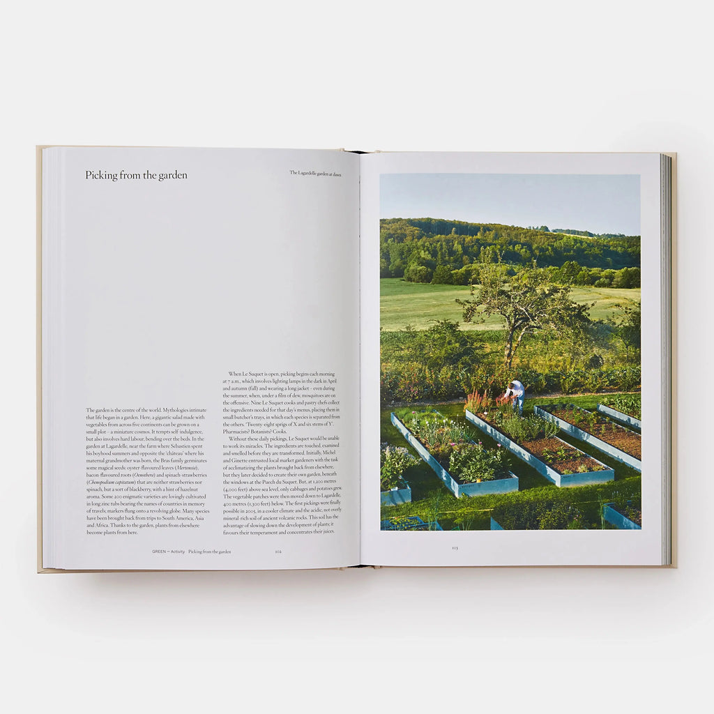 Phaidon Bras 