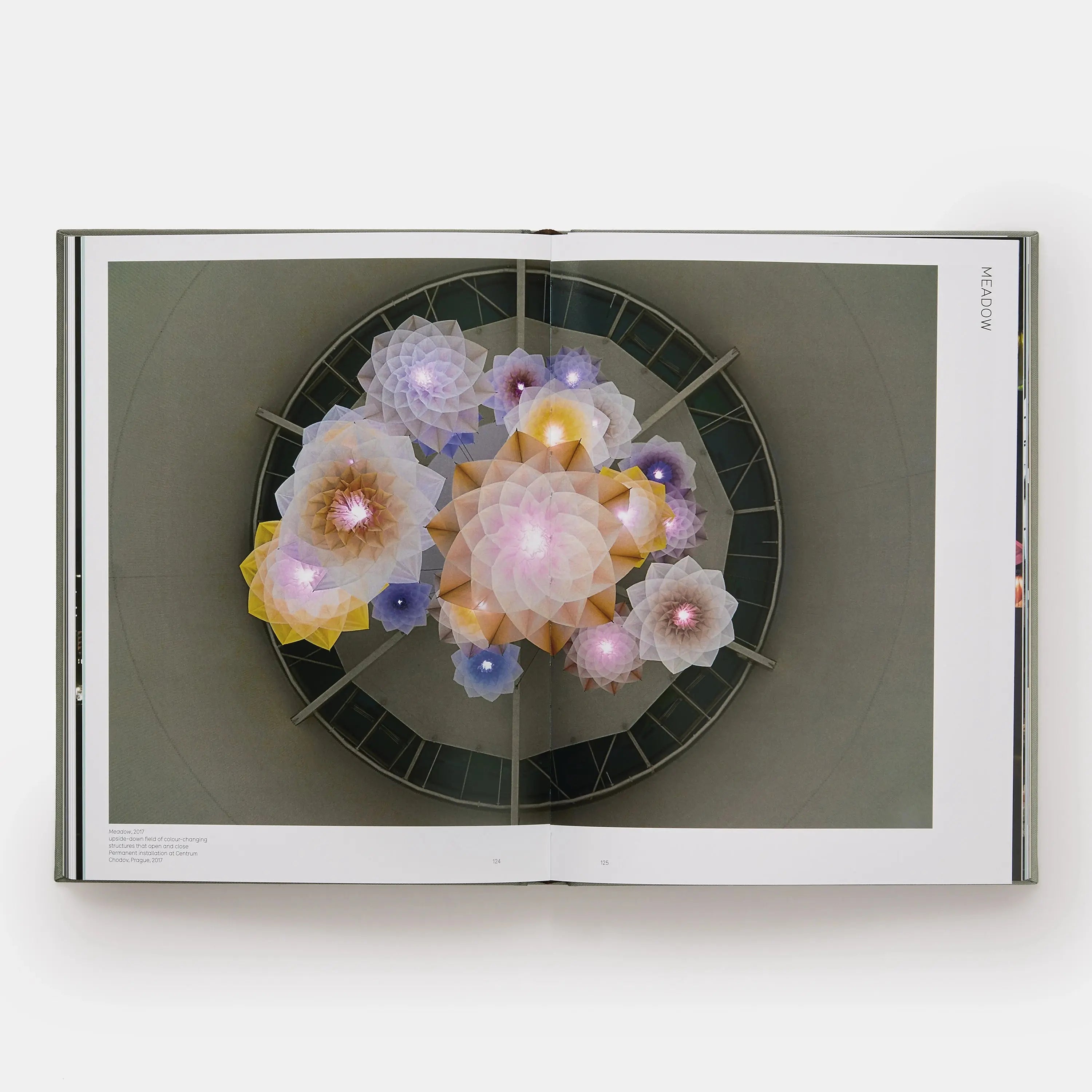 Phaidon DRIFT 