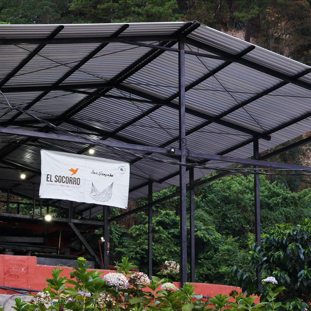 El Socorro - Guatemala - Washed Java April Coffee Roasters