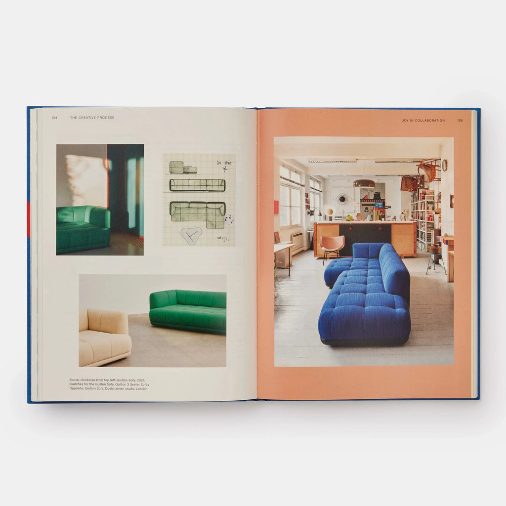 Phaidon HAY 