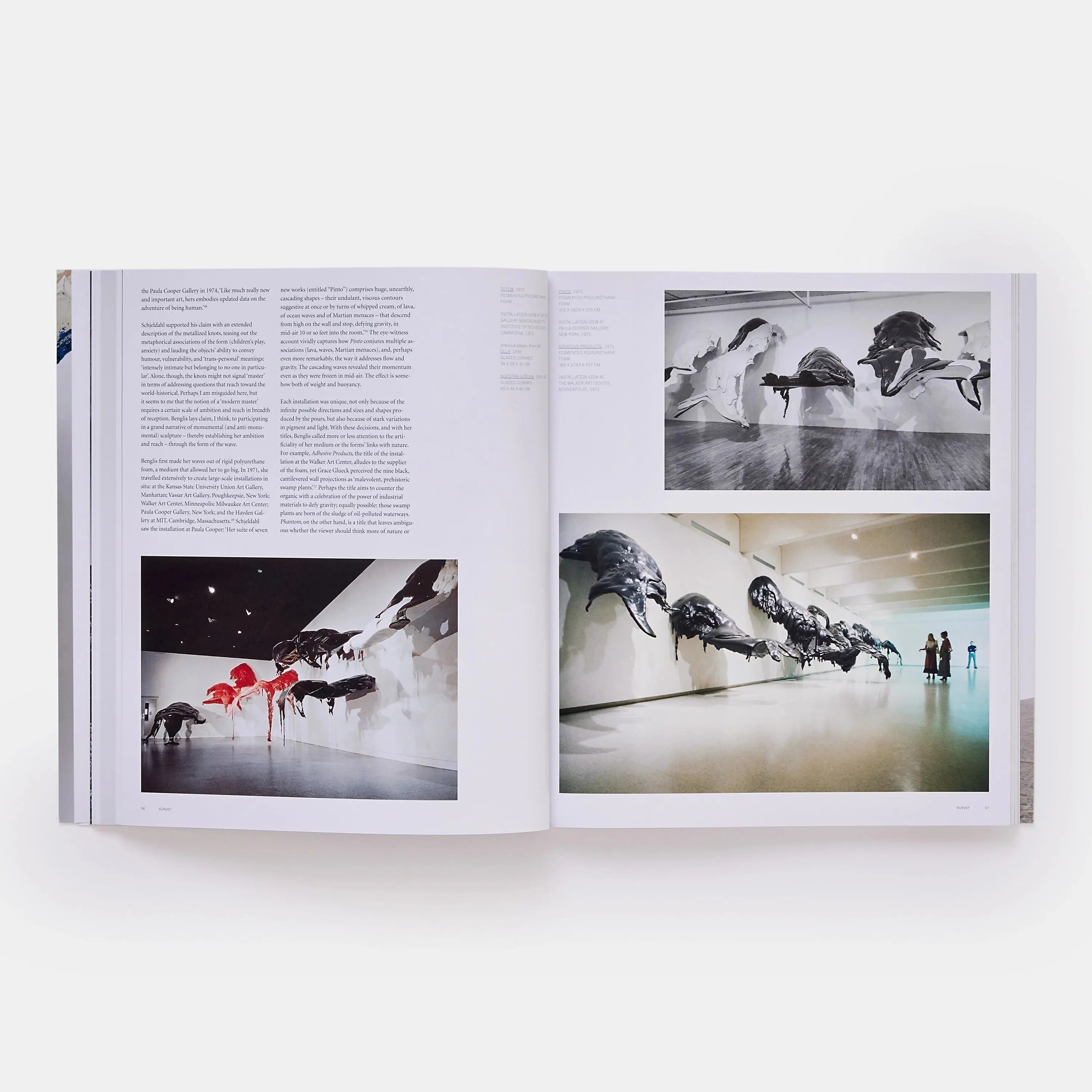 Phaidon Lynda Benglis 