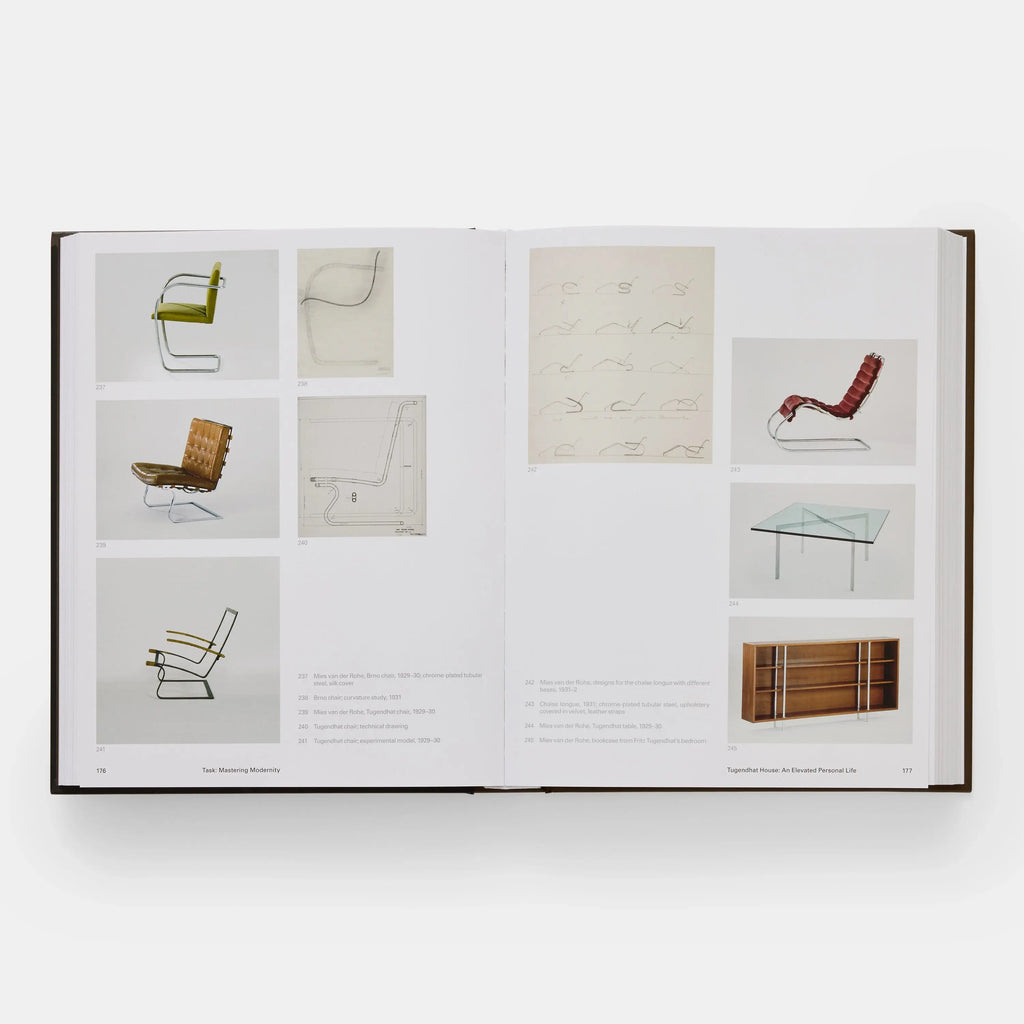 Mies - Detlef Mertins Phaidon