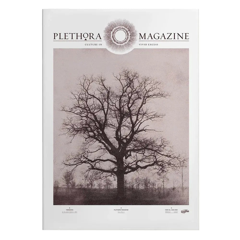 Plethora Magazine No. 12 