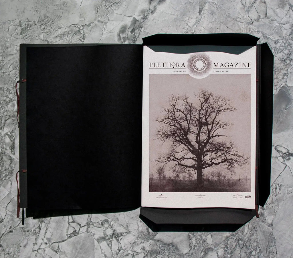 Plethora Magazine No. 12 