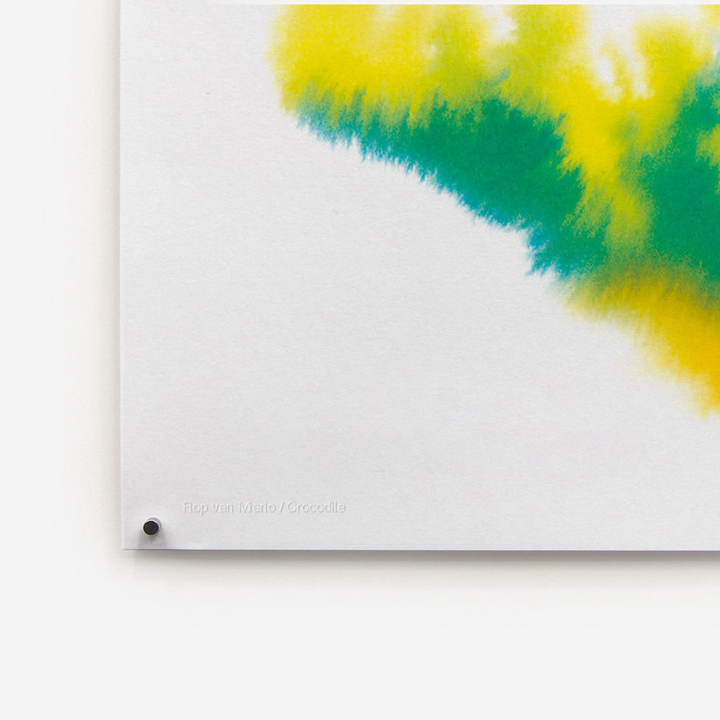 Crocodile Rop van Mierlo