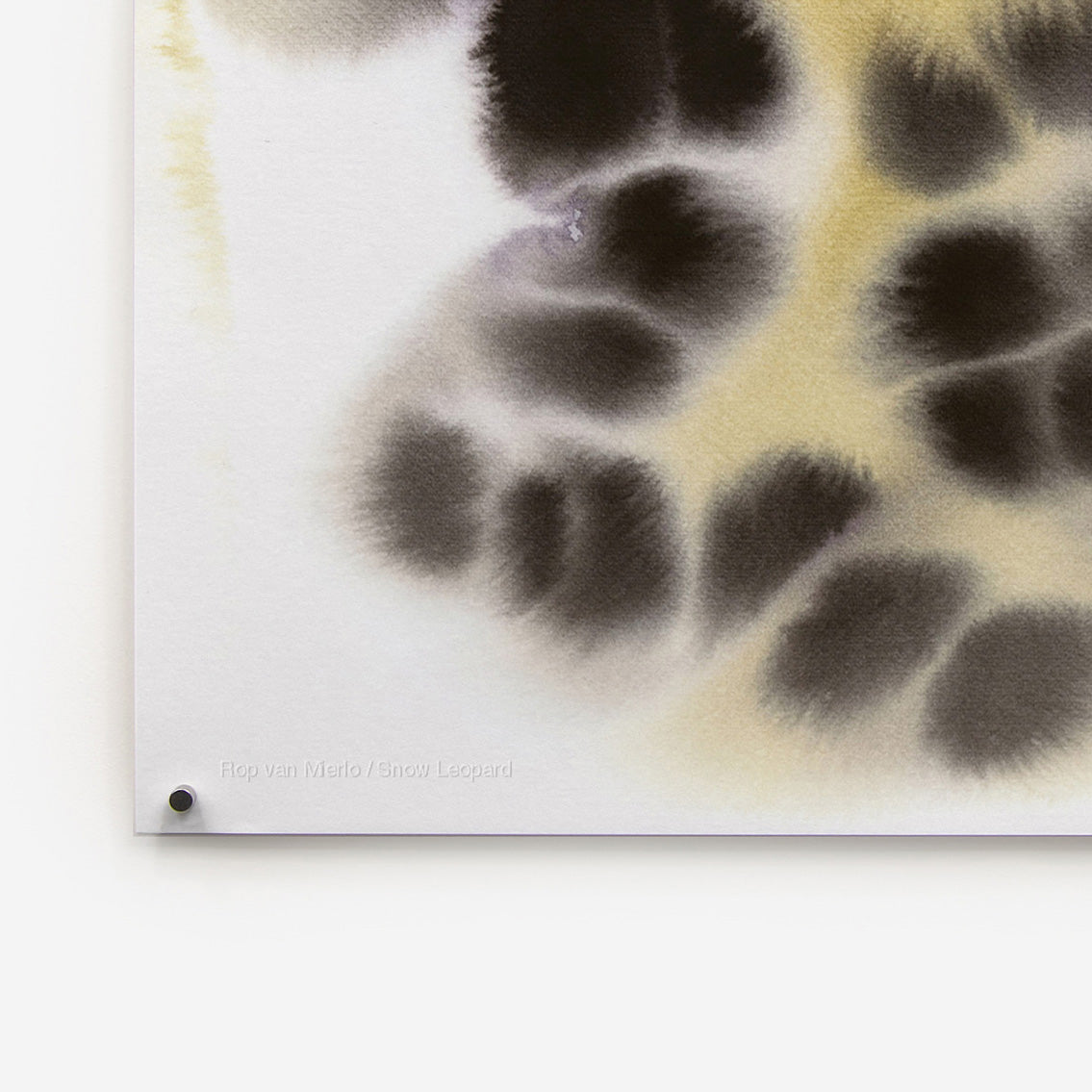 Snow Leopard
