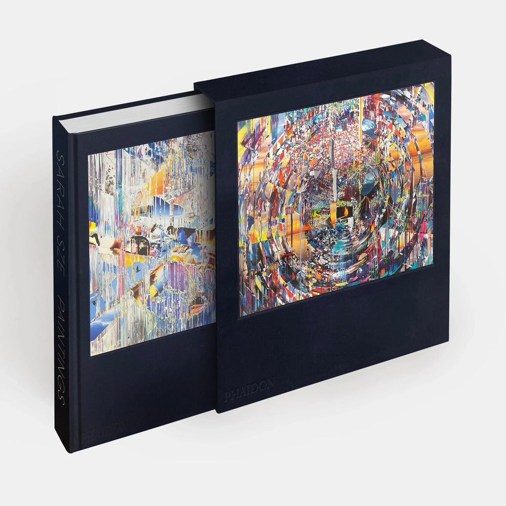 Phaidon Sarah Sze, Paintings 