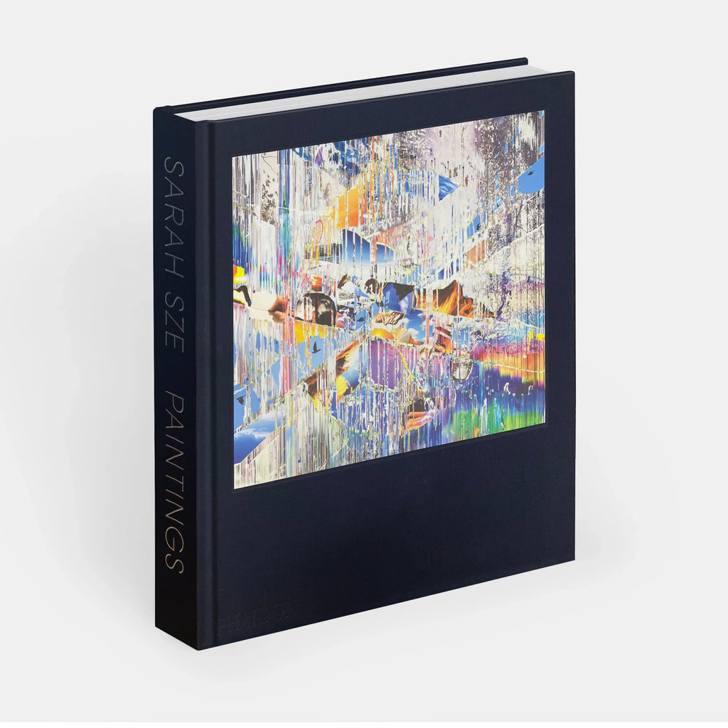 Phaidon Sarah Sze, Paintings 