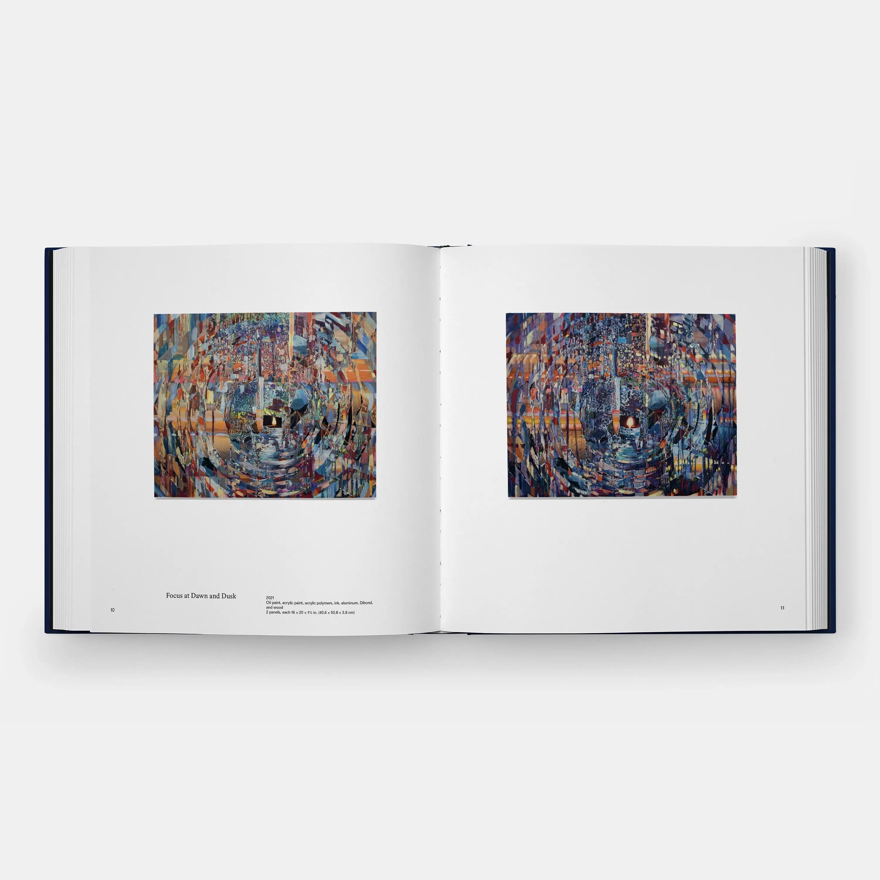 Phaidon Sarah Sze, Paintings 
