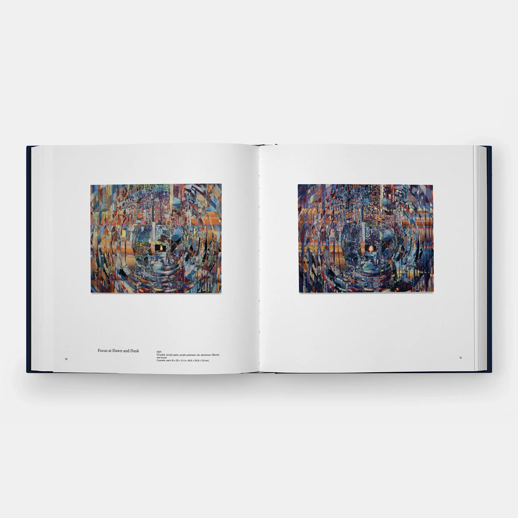 Phaidon Sarah Sze, Paintings 