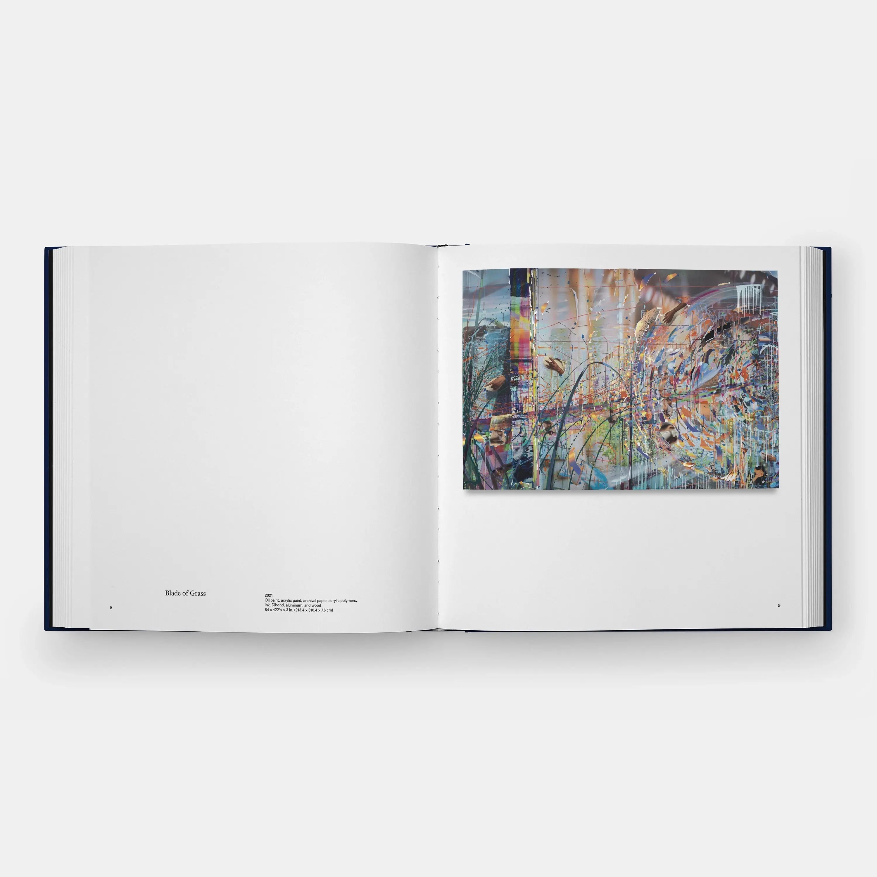 Phaidon Sarah Sze, Paintings 