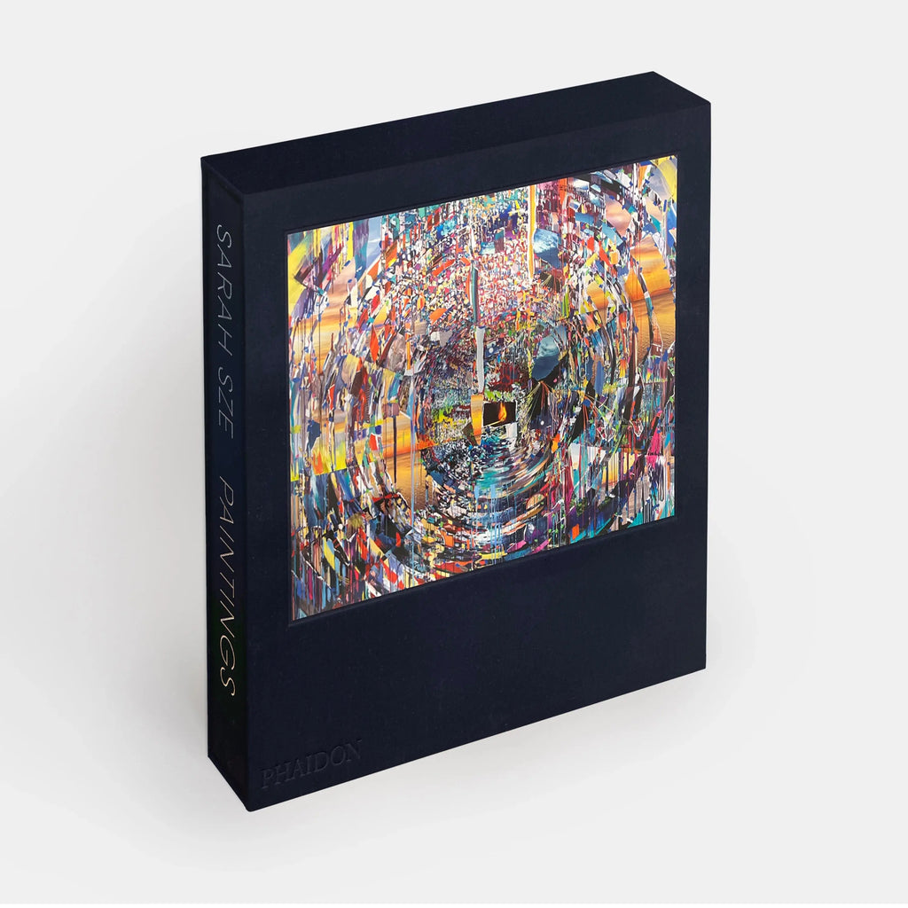 Phaidon Sarah Sze, Paintings 