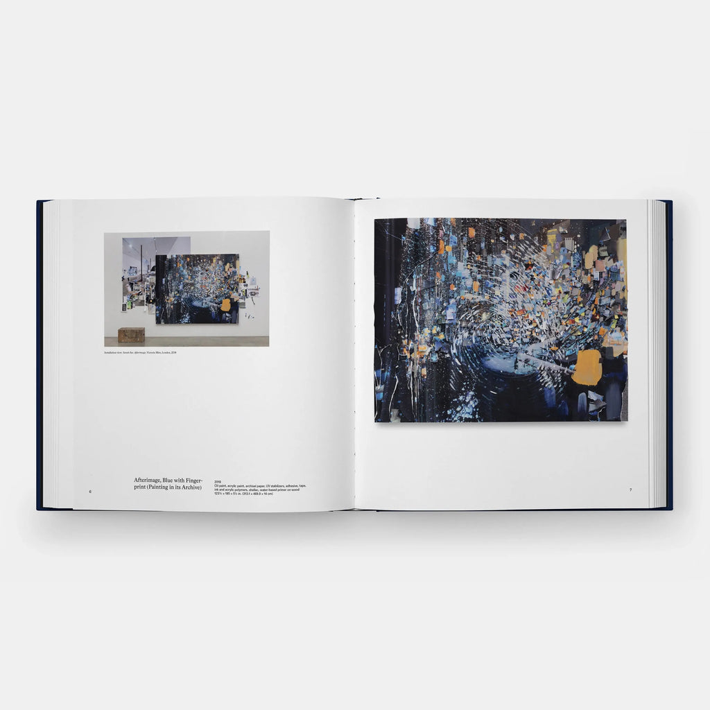 Phaidon Sarah Sze, Paintings 