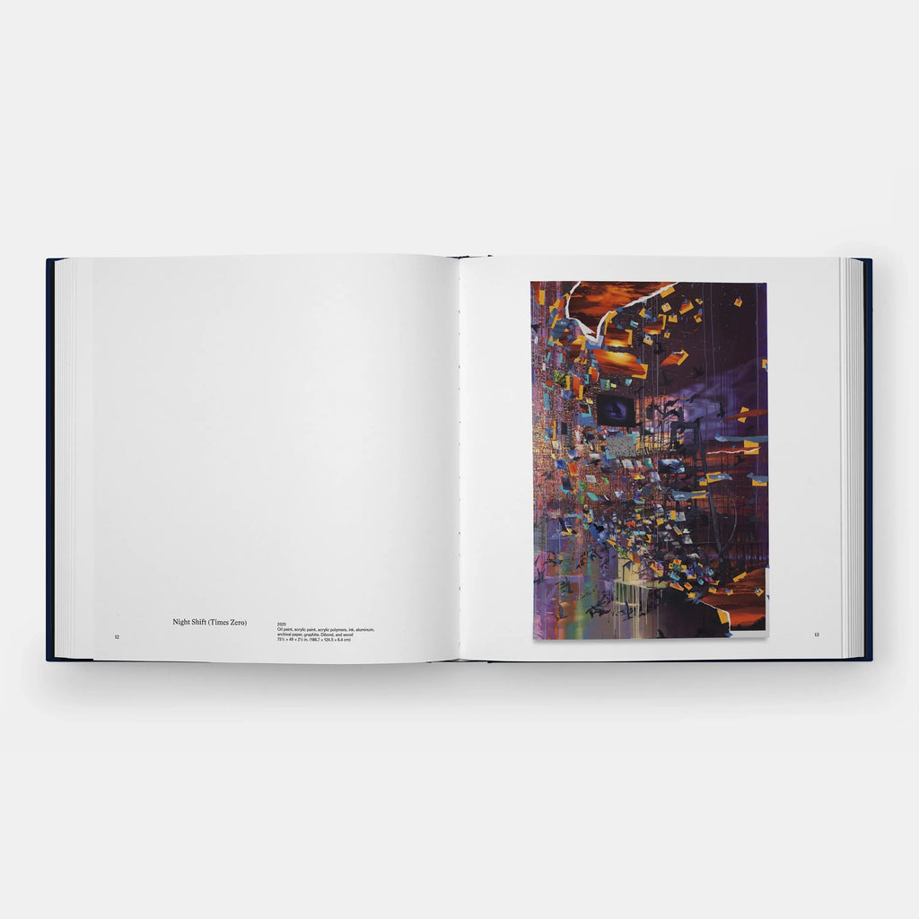 Phaidon Sarah Sze, Paintings 