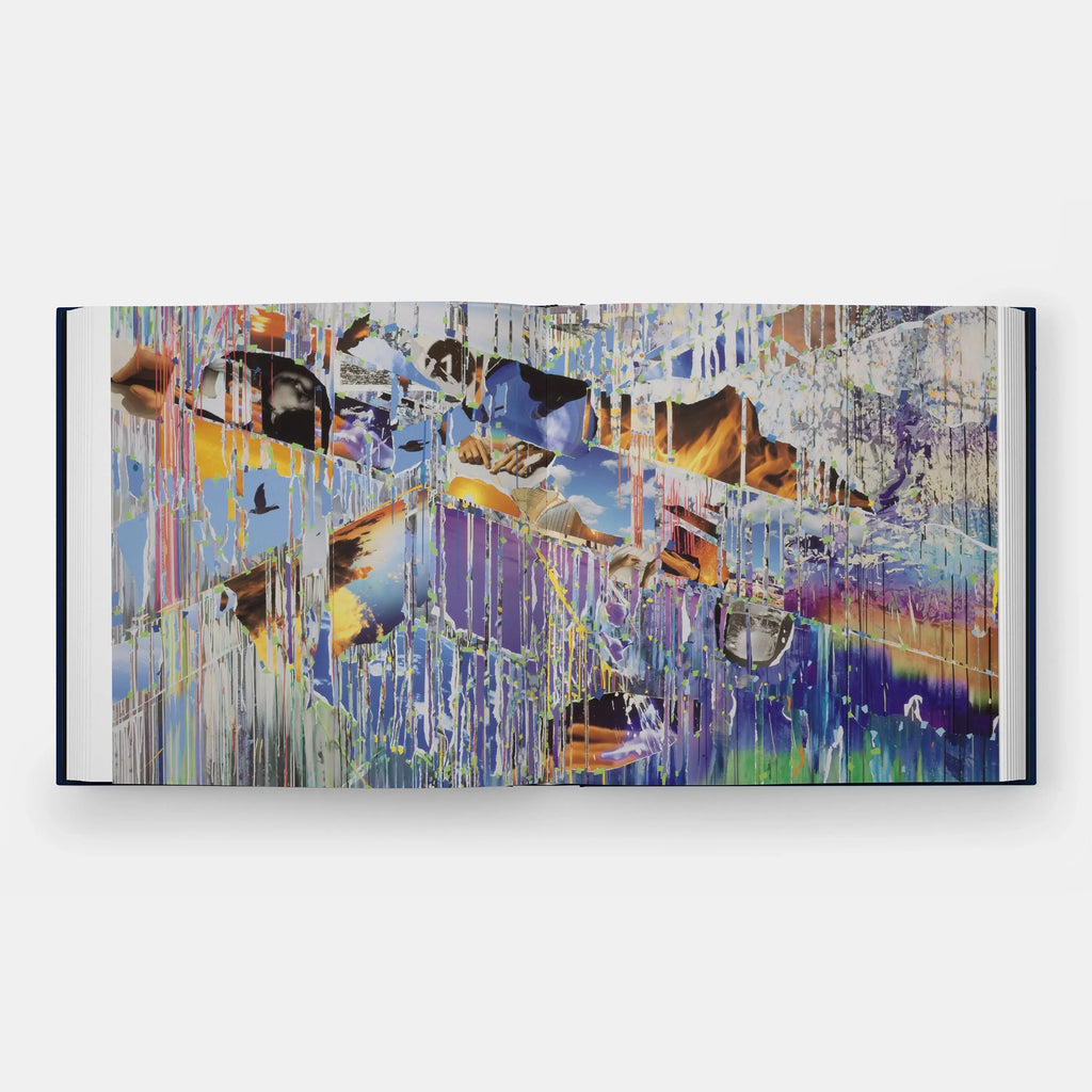Phaidon Sarah Sze, Paintings 