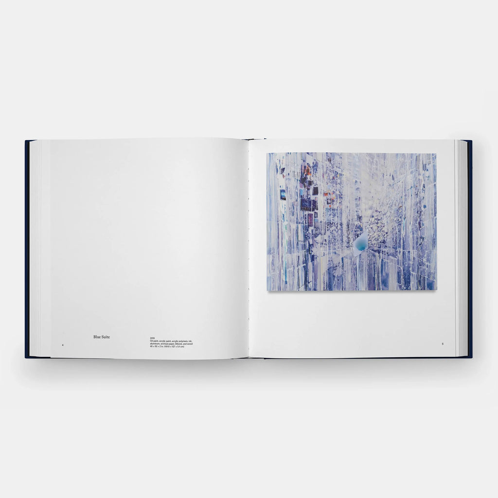 Phaidon Sarah Sze, Paintings 