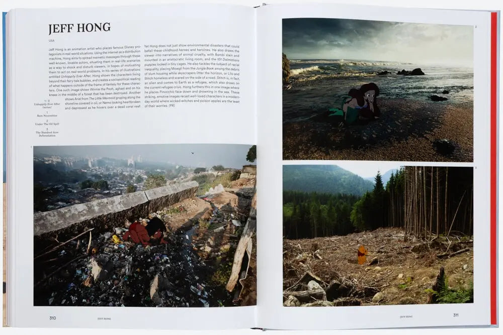 gestalten The Art of Protest - POLITICAL ART AND ACTIVISM 