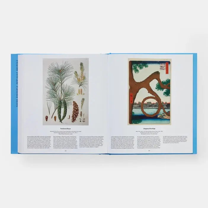 Tree: Exploring the Arboreal World Phaidon