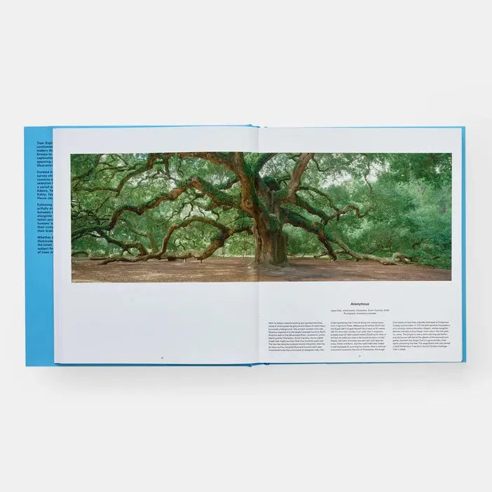 Tree: Exploring the Arboreal World Phaidon