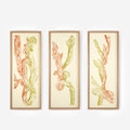 Crestata, Triptych – Edition