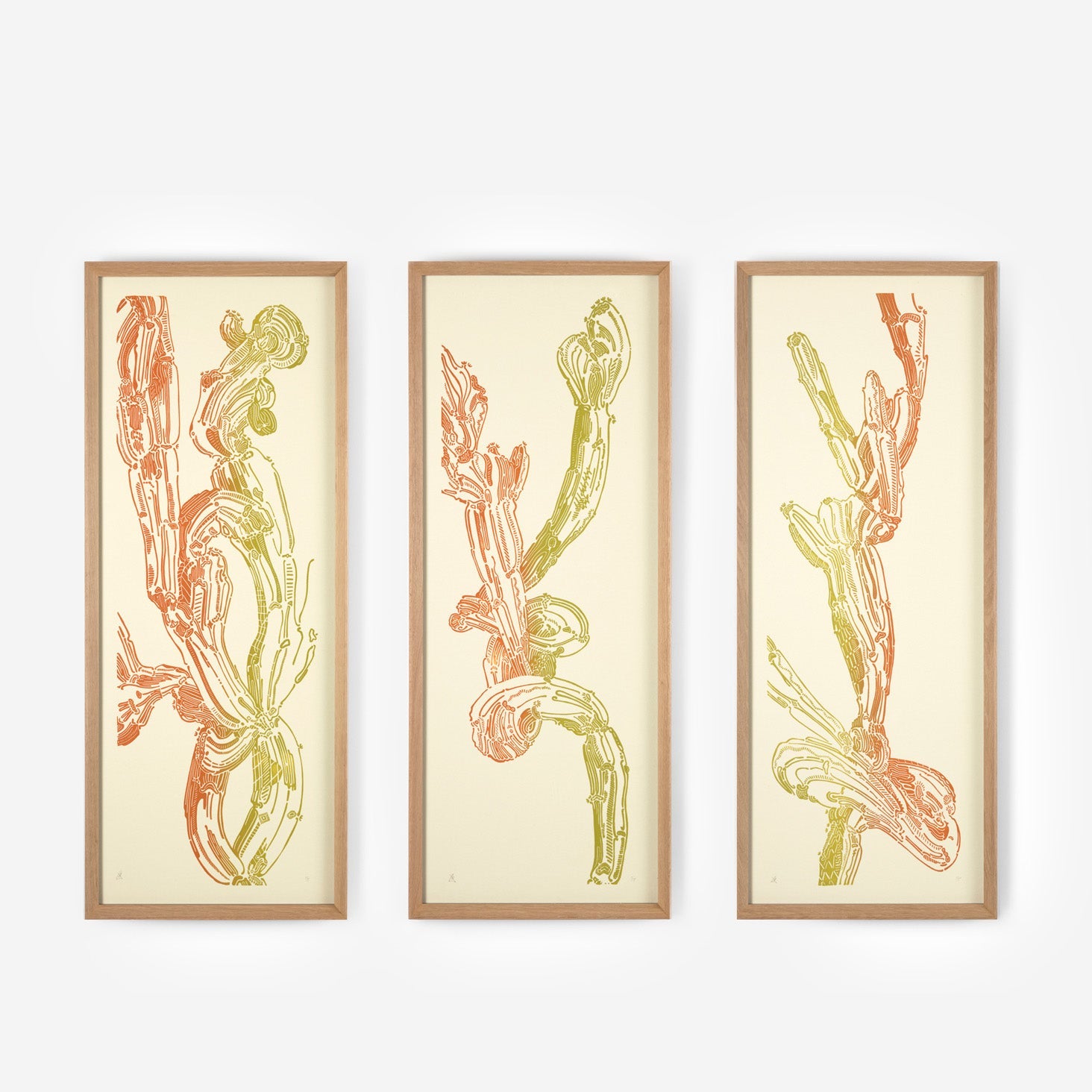 Crestata, Triptych – Edition
