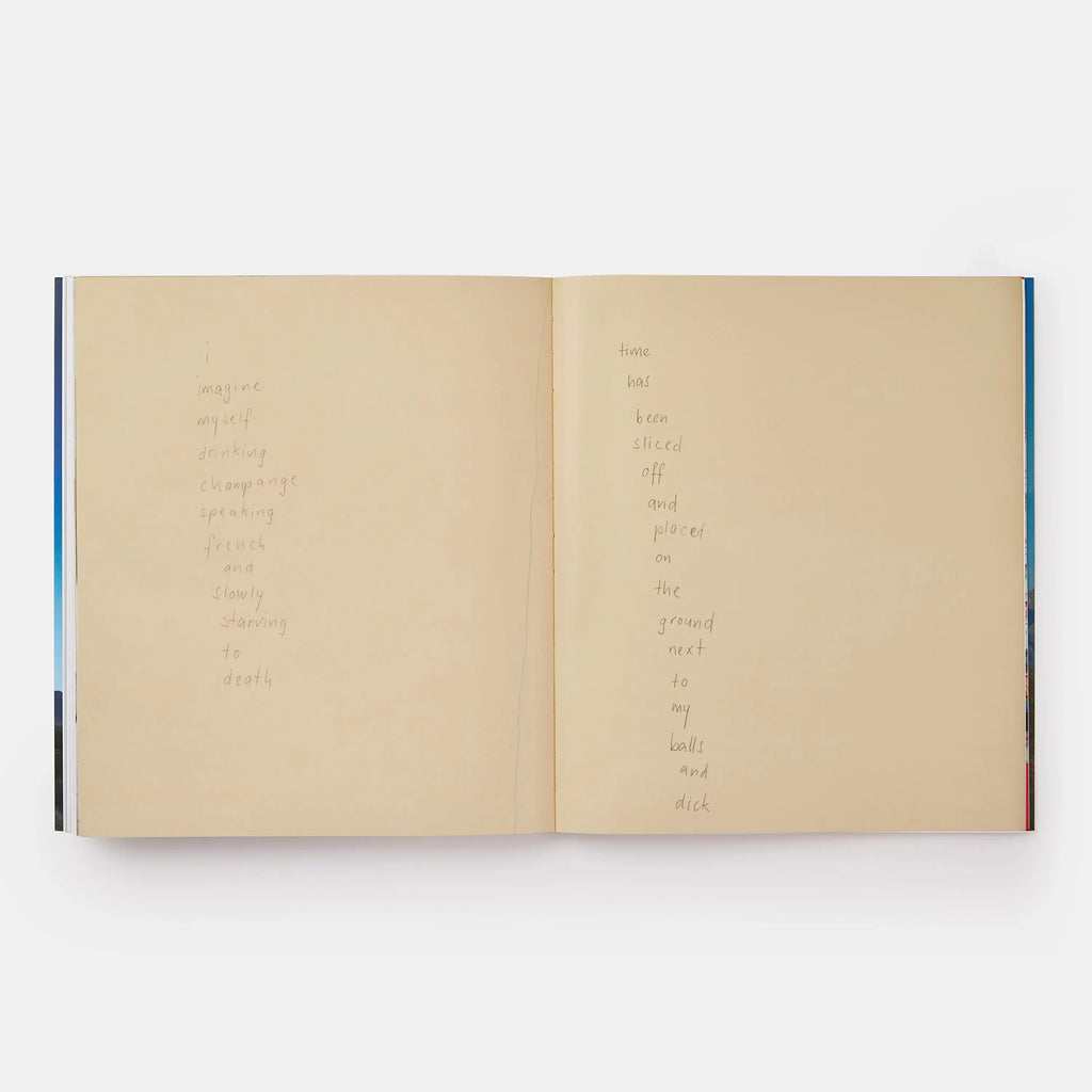 Phaidon Ugo Rondinone 