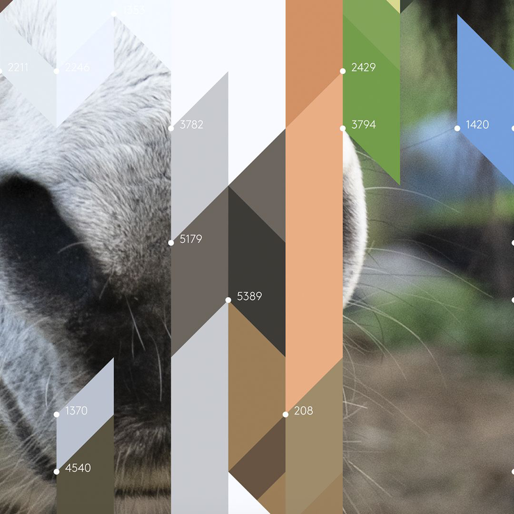 The Donkey – Edition Erwan Bouroullec