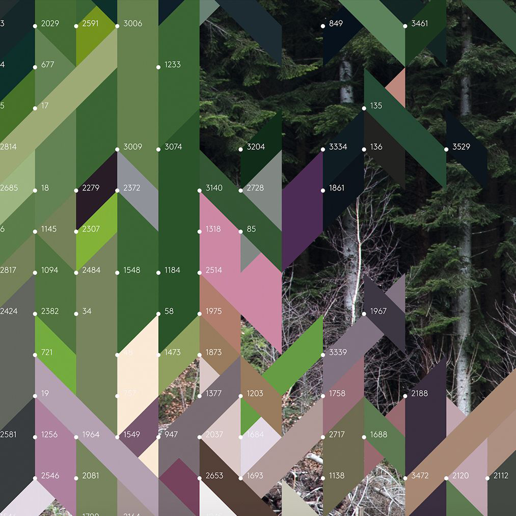 Replanted Fir – Edition Erwan Bouroullec