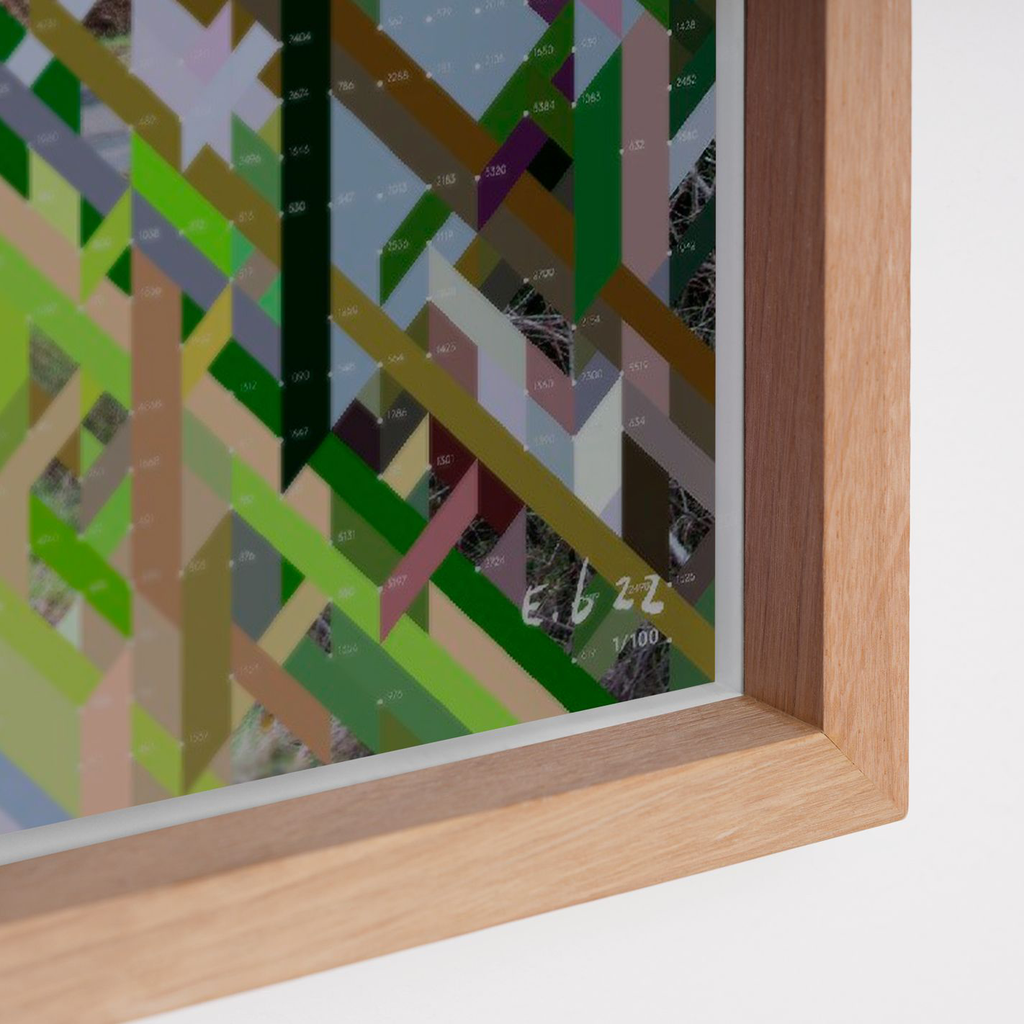 Replanted Fir – Edition Erwan Bouroullec